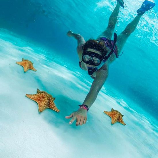 El Cielo, the beach of Cozumel where starfish live