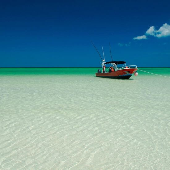 Holbox white sand in paradise