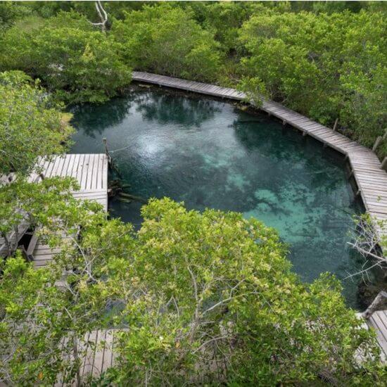 Yalahau cenote an oasis in Holbox