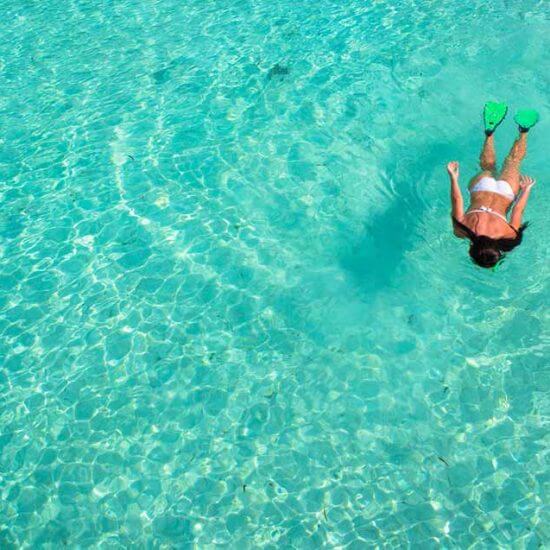 Puerto Morelos reef snorkeling