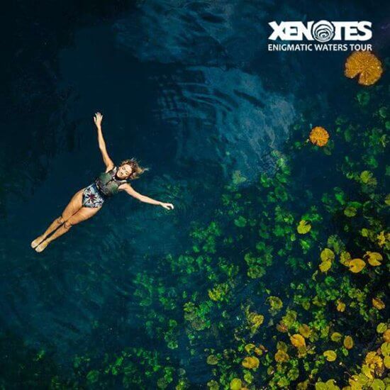 virgin xenotes