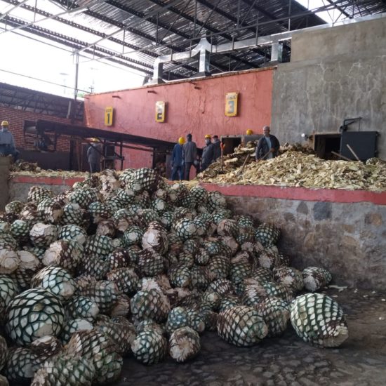 tequila ovens