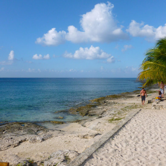 Cozumel Island Tour: buggy and clear boat